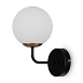 Настенный светильник (бра) Freya FR8016WL-01BBS1 - фото