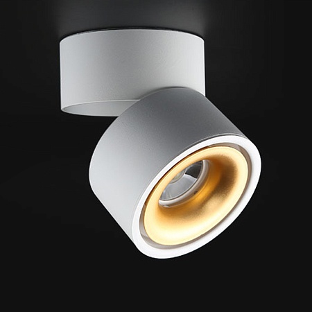 Потолочный Светильник Agenda White+Gold 10W Imperiumloft 191836-26 - фото