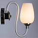 Бра Arte Lamp LAVINIA A1404AP-1WH - фото