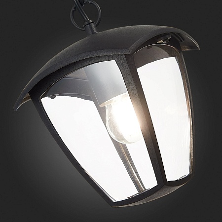 Светильник уличный подвесной ST-Luce Черный/Черный, Прозрачный E27 1*40W SL081.403.01 - фото