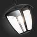 Светильник уличный подвесной ST-Luce Черный/Черный, Прозрачный E27 1*40W SL081.403.01 - фото