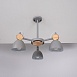 Потолочная Люстр На Штанге Rolla 3 Gray Imperiumloft 101991-26 - фото