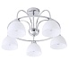 Потолочная люстра ARTE LAMP A6057PL-5CC - фото