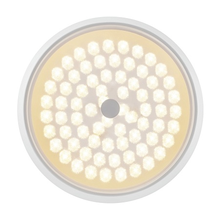 Потолочный светильник Freya Cells FR10012CL-L24W - фото