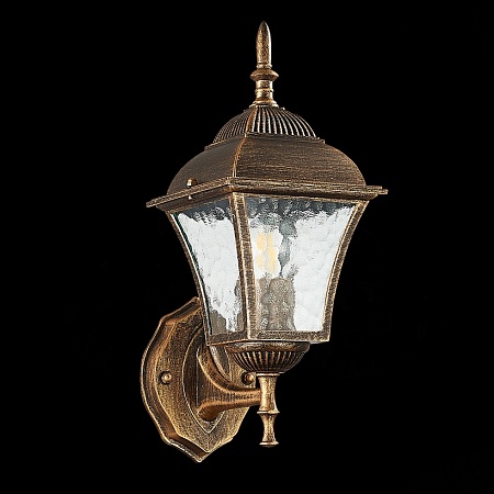 Светильник уличный настенный ST-Luce Бронза/Бронза, Прозрачный E27 1*60W SL082.201.01 - фото
