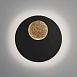 Настенный светодиодный светильник Areola 40150/1 LED - фото