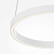 Подвесной светильник Maytoni Rim MOD058PL-L22WK - фото