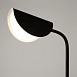 Настольный светильник Maytoni Mollis MOD126TL-01B - фото