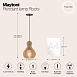 Подвесной светильник Maytoni Roots MOD192PL-01W - фото