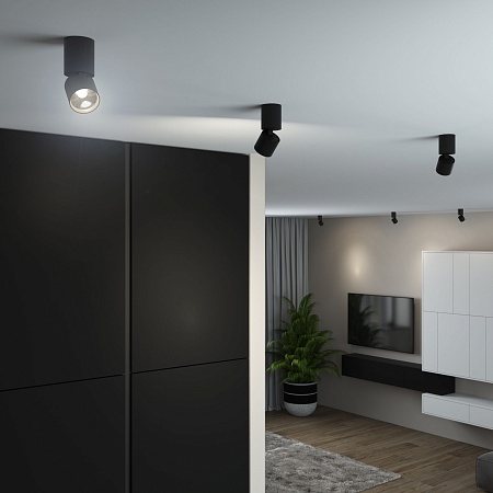 Светильник потолочный поворотный светодиодный Sens 10W 4000K чёрный 25042/LED Elektrostandard - фото