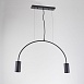 Подвесной Светильник Arc 2 Black Imperiumloft 189568-26 - фото