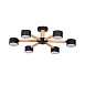 Потолочная люстра Arte Lamp TENDA A1624PL-6BK - фото