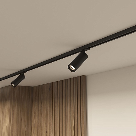 Светильник на шине Denkirs SOLID Tube DK6202-BK - фото