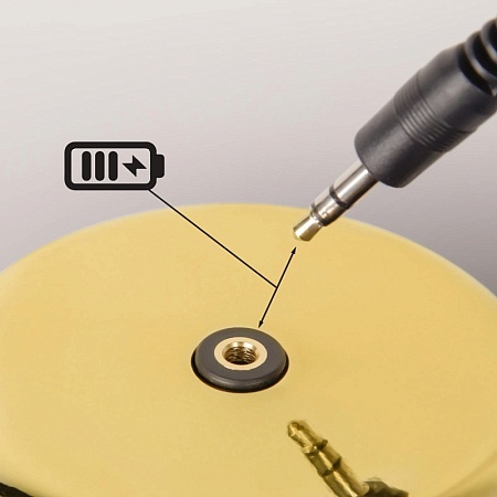 10233/B Gold Настольная лампа LOFT IT Brothers - фото