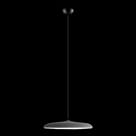 10119 Grey Подвесной светильник LOFT IT Plato - фото
