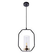 Подвесной светильник Arte Lamp CELAENO A7004SP-1BK