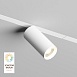 Светильник на шине Denkirs SMART SPOT DK8010-WH - фото