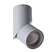 Спот Arte Lamp ORIONE A7717PL-1GY - фото