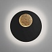 Настенный светодиодный светильник Areola 40150/1 LED - фото