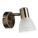 Спот Arte Lamp PARRY A5062AP-1AB - фото