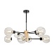 Люстра Freya FR5055PL-08B - фото