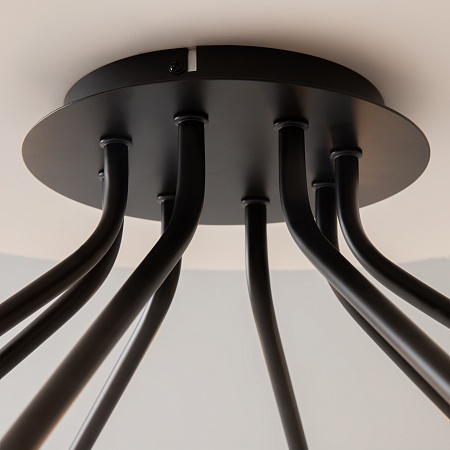 Потолочный светильник Maytoni Vigo MOD620CL-16B - фото