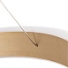 Подвесная люстра ARTE LAMP A4050SP-1SG - фото