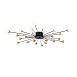 Потолочный светильник Freya Celebrity FR5242CL-24B - фото