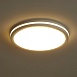 Потолочный светильник Freya FR6160CL-L40W - фото