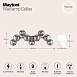 Настенный светильник (бра) Maytoni Dallas MOD547WL-09CH - фото