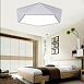 Потолочный Светодиодный Светильник Geometric Black D40 Imperiumloft 101609-26 - фото