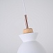 Подвесной Светильник Omg C White Imperiumloft 179776-26 - фото