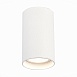 Светильник потолочный Белый LED 1*20W 4000K 1 600Lm Ra>90 60° IP44 D95xH150 220-265V ST157.542.20 - фото