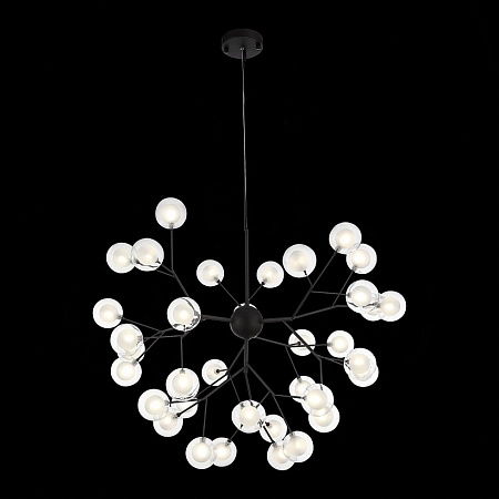 Светильник подвесной ST-Luce Черный/Прозрачный, Белый G4 LED 36*2W SL376.403.36 - фото