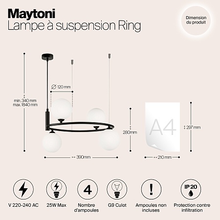 Подвесной светильник Maytoni MOD013PL-04B - фото