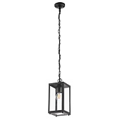 Уличный подвесной светильник ARTE LAMP A4569SO-1BK