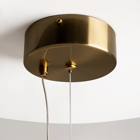 Подвесной светильник Maytoni Oasis MOD289PL-L53BS3K - фото