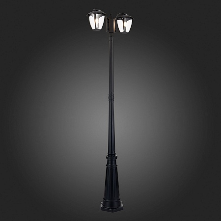 Светильник уличный наземный ST-Luce Черный/Черный, Прозрачный E27 2*40W SL081.405.02 - фото