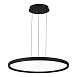 Светильник подвесной ST-Luce Черный/Белый LED 1*45W 3000K-6000K SL6015.403.01 - фото