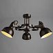 Потолочная люстра Arte Lamp MARTIN A5216PL-3BR - фото
