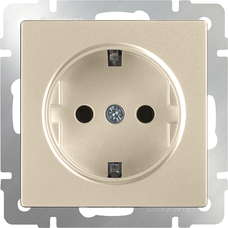 Розетка с заземлением и шторками шампань WL11-SKGS-01-IP44 - фото