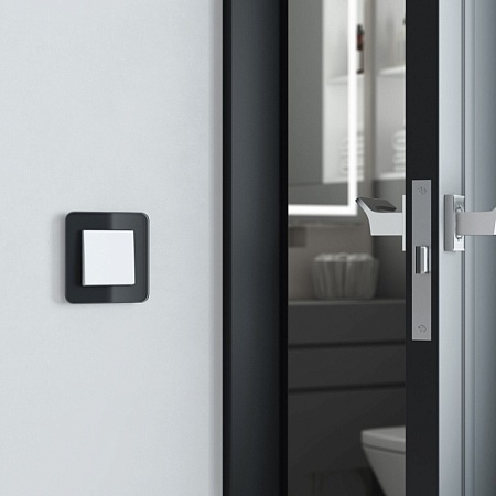 Рамка на 1 пост Elite (черный, стекло) W0012448 - фото