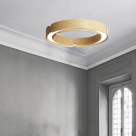 Подвесной Кольцевой Светильник Range 1 D55 Light Wood Imperiumloft 195537-26 - фото