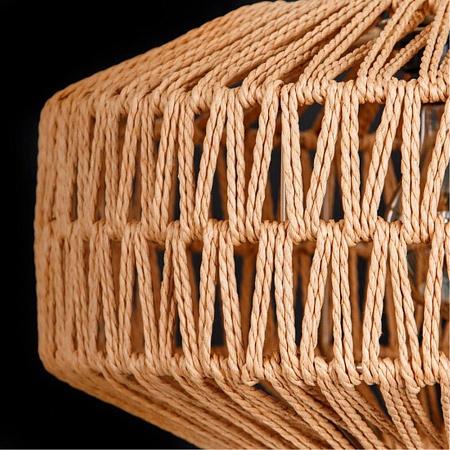 Подвесной светильник Arte Lamp BRUSHWOOD A7087SP-1BK - фото