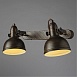 Спот Arte Lamp MARTIN A5213AP-2BR - фото