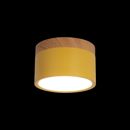 10162 Yellow Накладной светильник LOFT IT Grape - фото