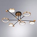 Потолочная люстра Arte Lamp HOLLY A1364PL-6PB - фото