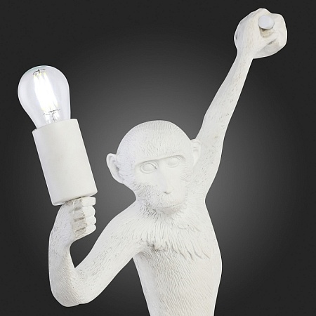 Светильник настенный Белый E27 1*60W SLE115111-01 - фото