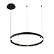 Подвесная люстра Arte lamp RICCO A1874SP-32BK - фото
