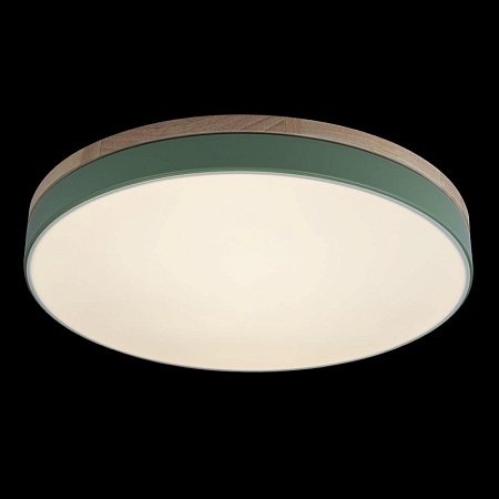 10001/36 Green Потолочный светильник LOFT IT Axel - фото